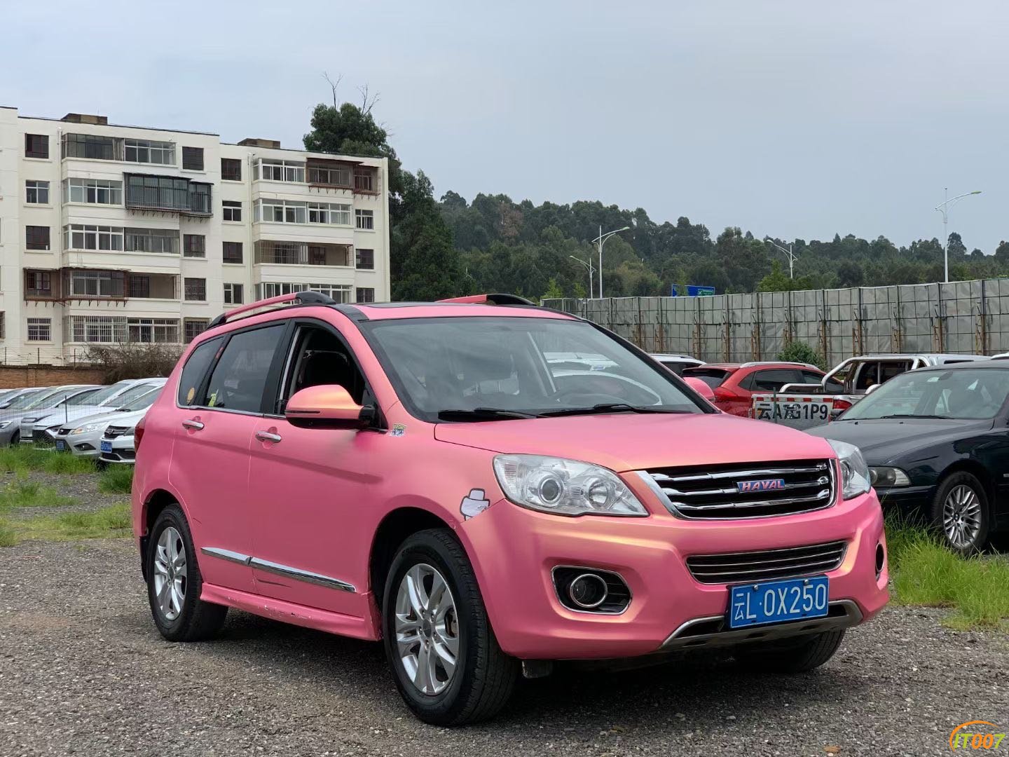 151444wx1mazz5mr1nya4q.JPG