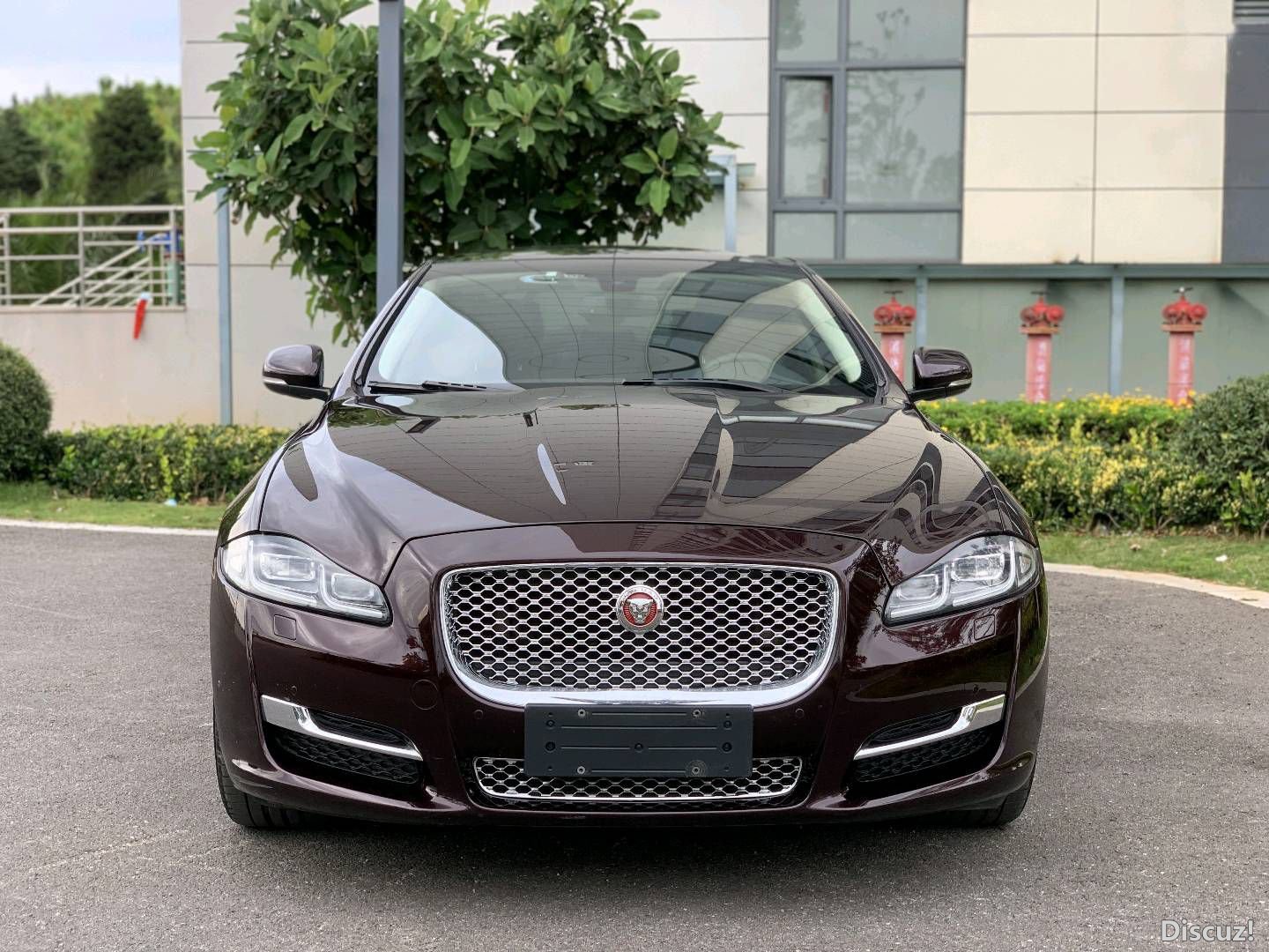 122111mch8mrnh6yeh8kfz.jpg