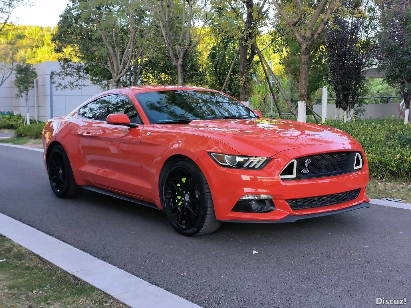 122646x1gjxd7wnt8tjd82.jpg