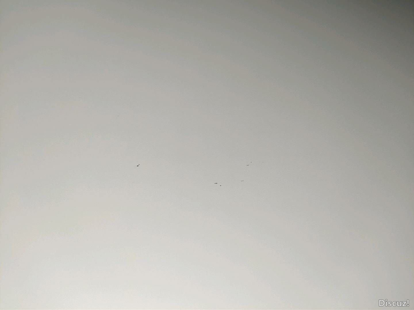 103619n71yk6o7zo1zrzr4.jpg