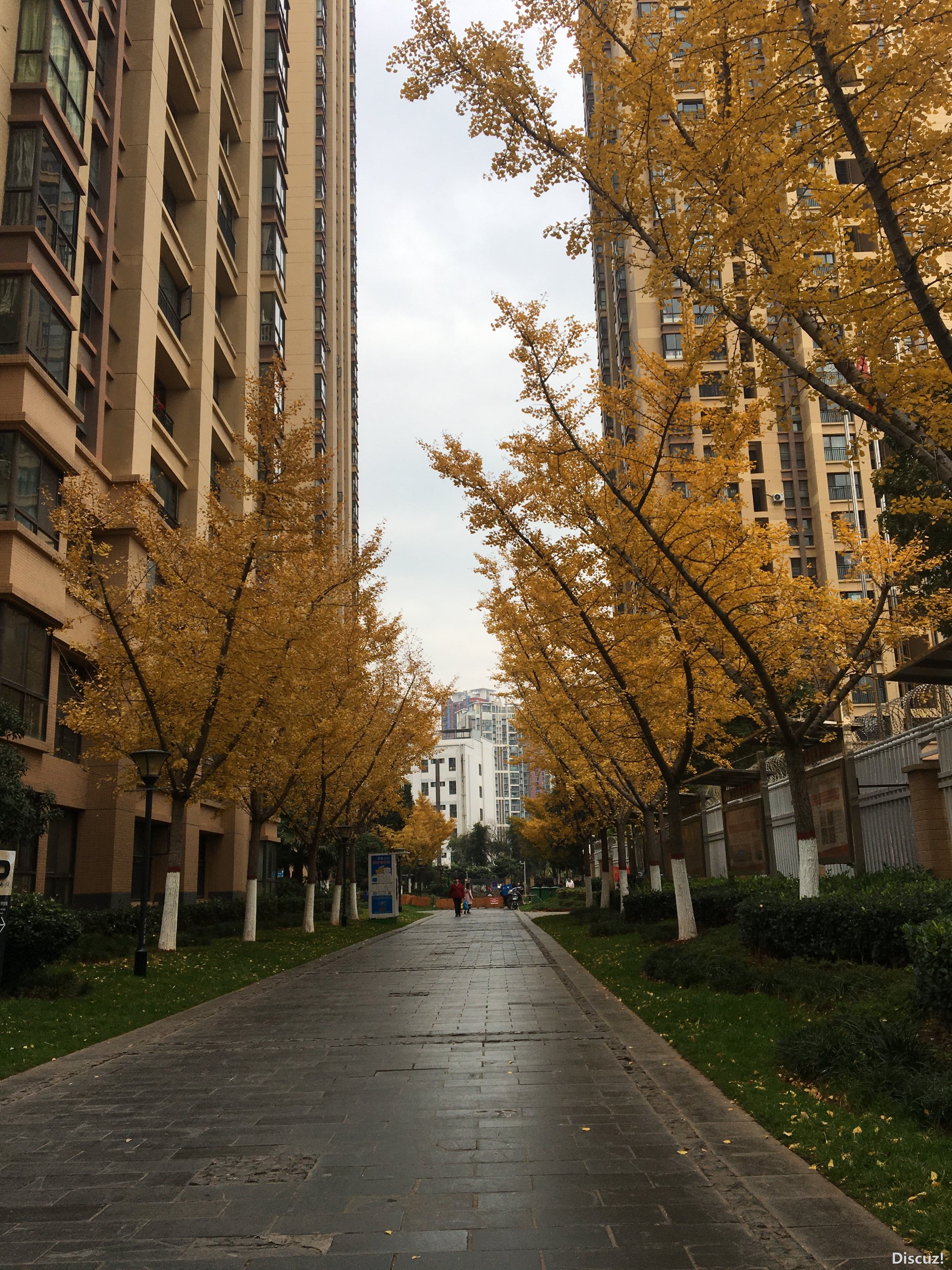 微信图片_20231127093502.jpg