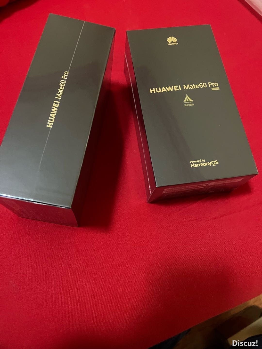 222100y76sz72uppitlul8.jpg