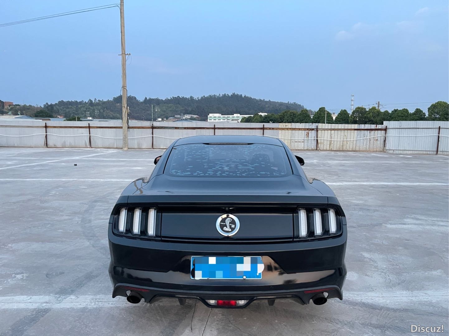 114650acf8x1xvza9v98tc.JPG