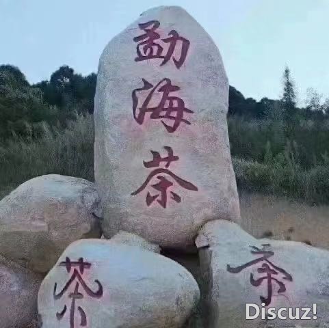 162136yl4l03qlajslay4q.JPG