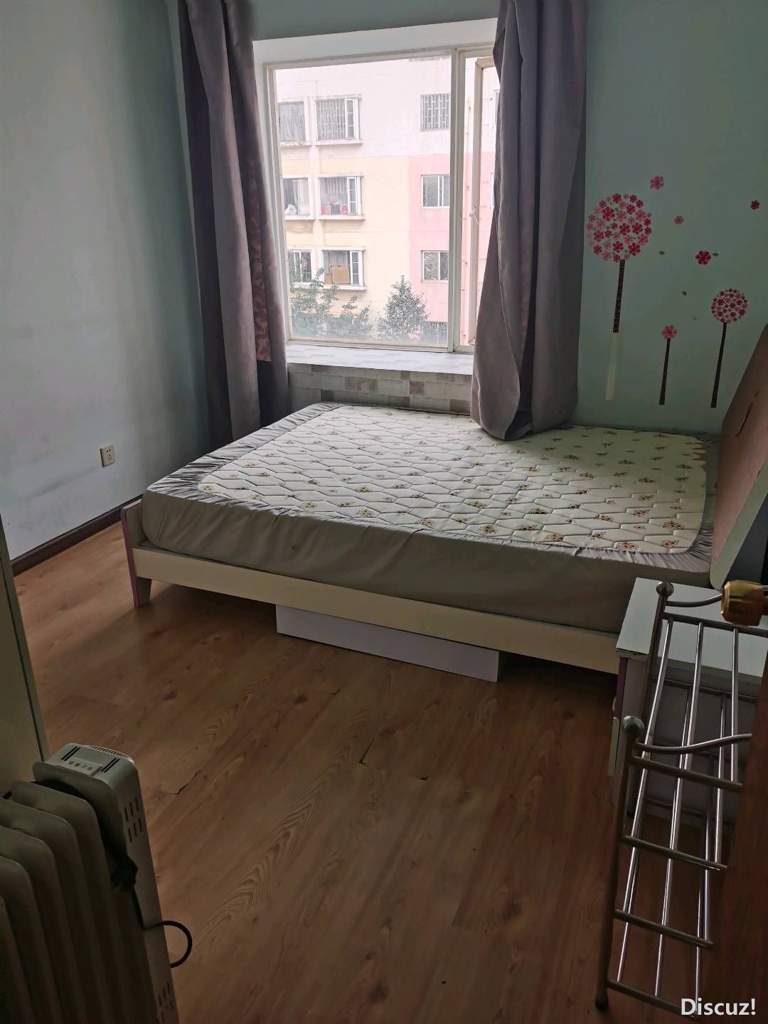 164828x5myu85qppbuuik0.jpg