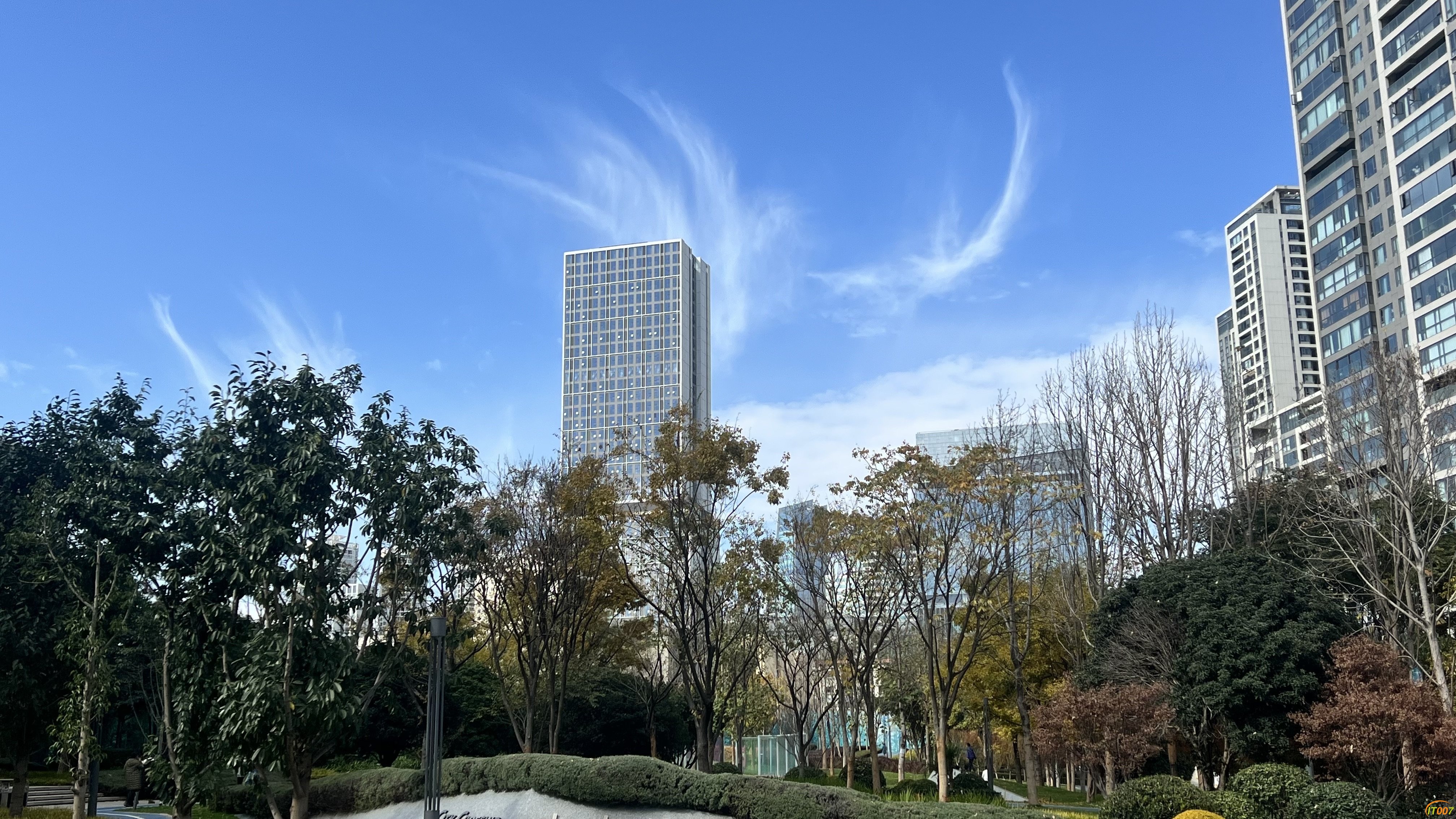 112516cxst9edx8tidtpip.jpg