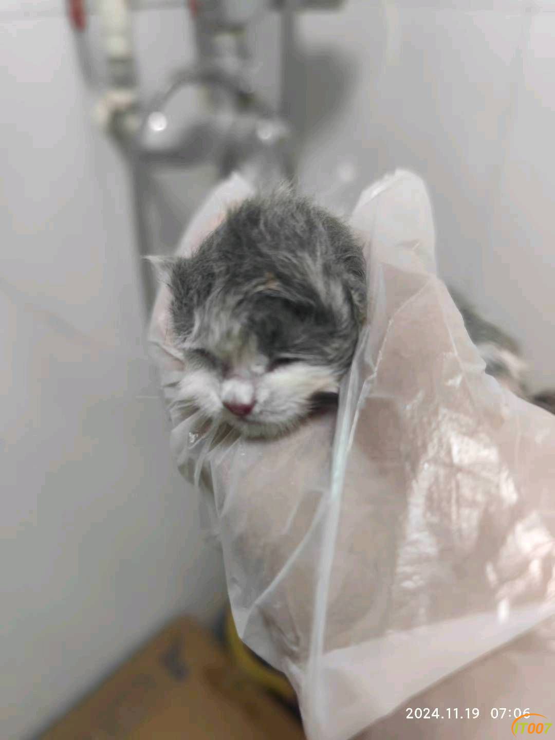 101151bn3o958xaootsivx.jpg