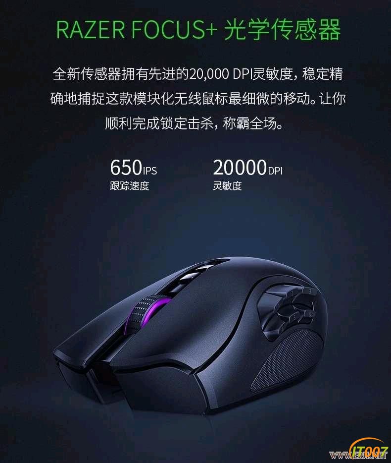 035504dz03whk39087sh80.jpg