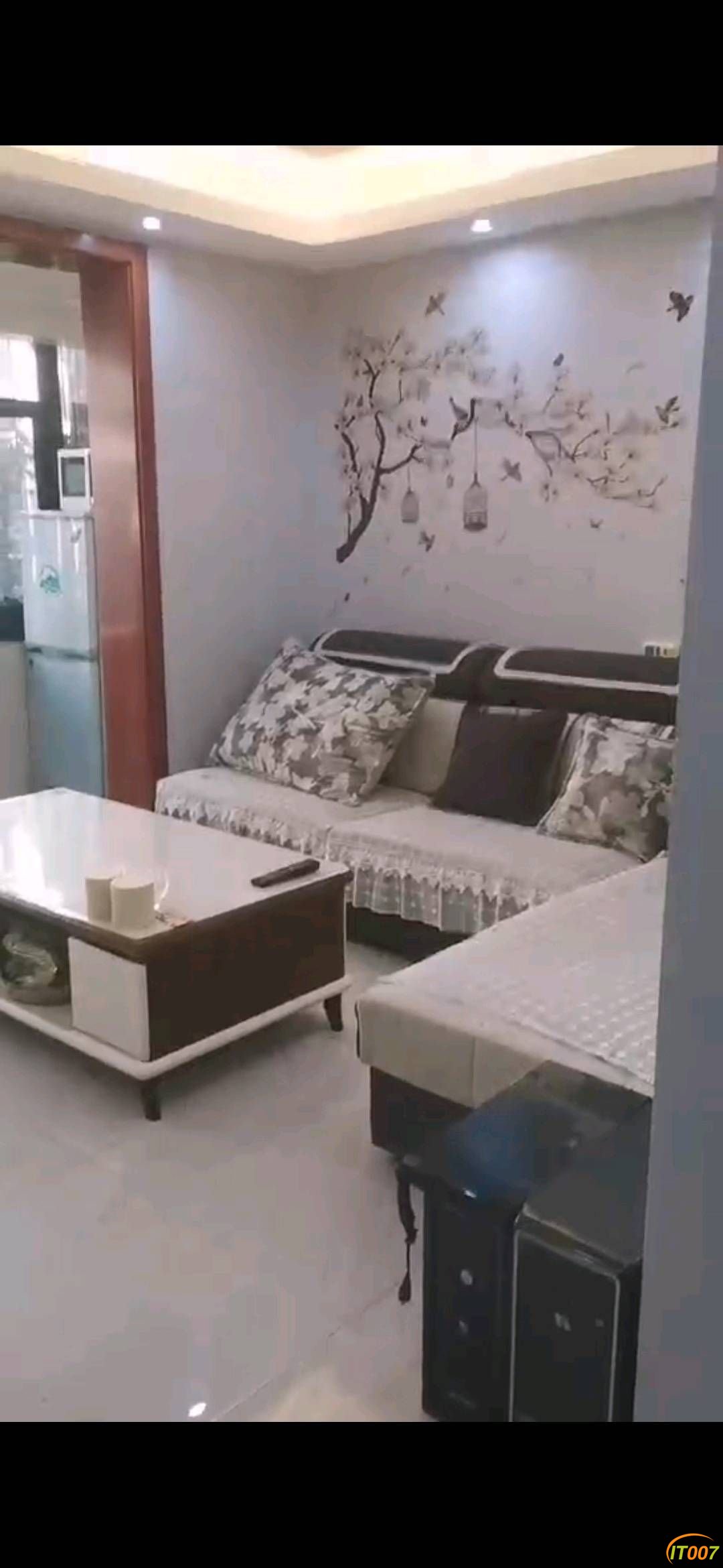 113752pa8trhvee5fj999l.jpg