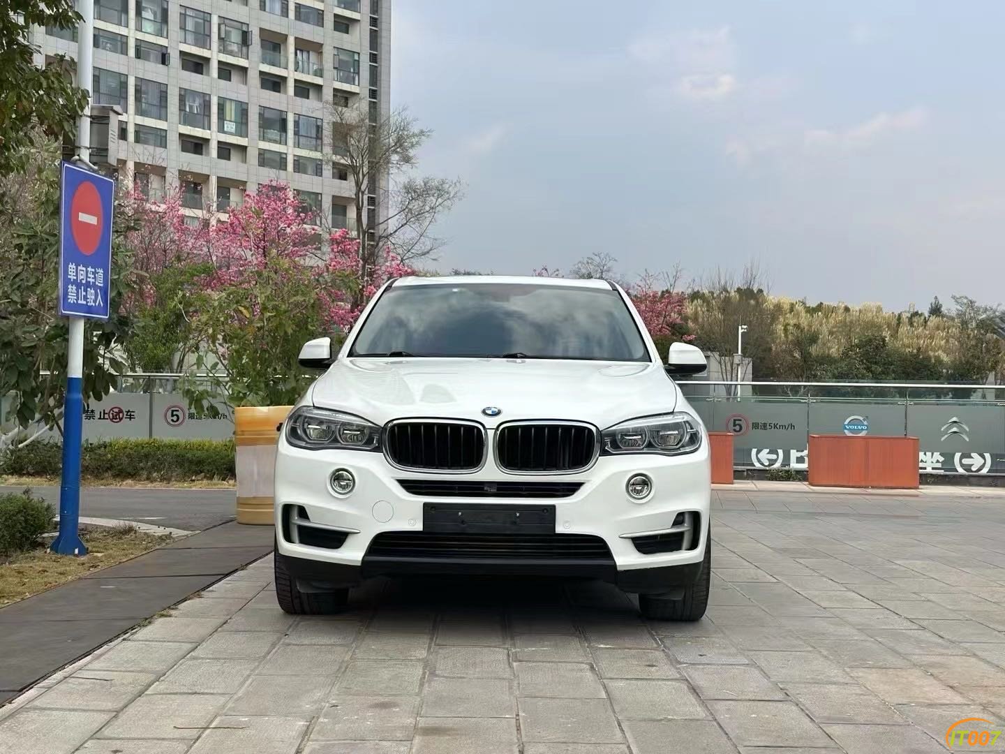 141035js56qz7r195vm3k5.JPG
