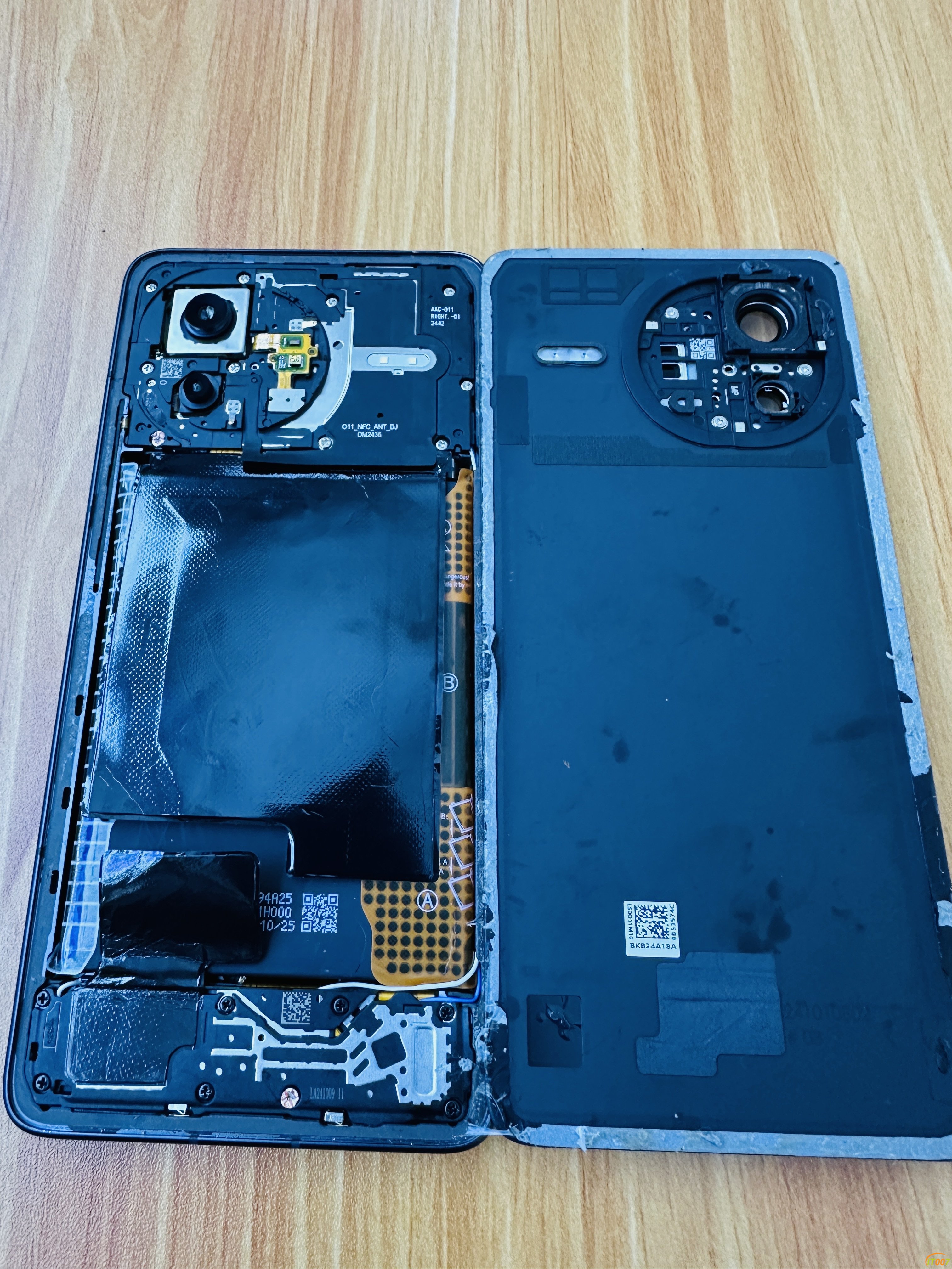 225049olztw8s8z5mqftbl.JPG