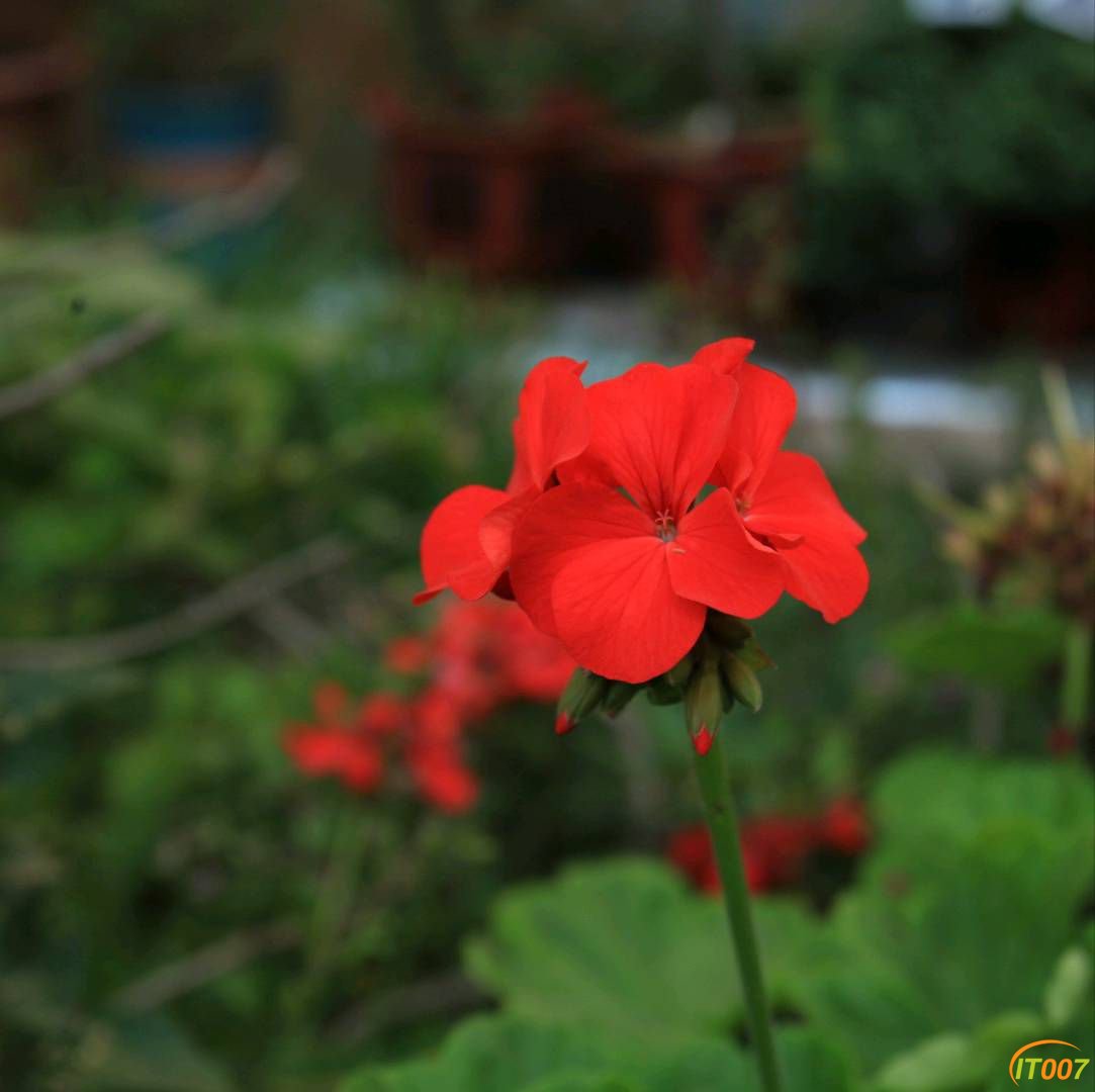 170708zvk4lbb7bbjj49dp.jpg