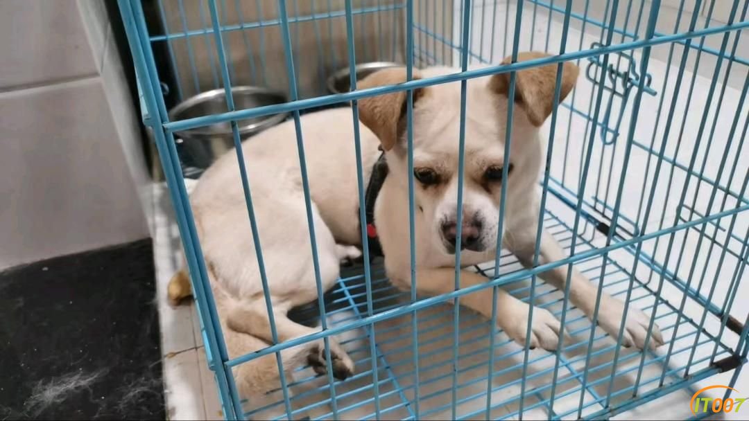093228t28izjvy0vv88hgc.jpg