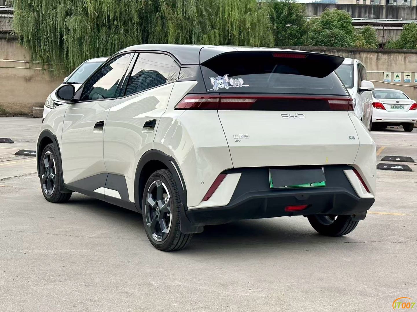 203450dsz3mmkmmf1dm1pu.JPG