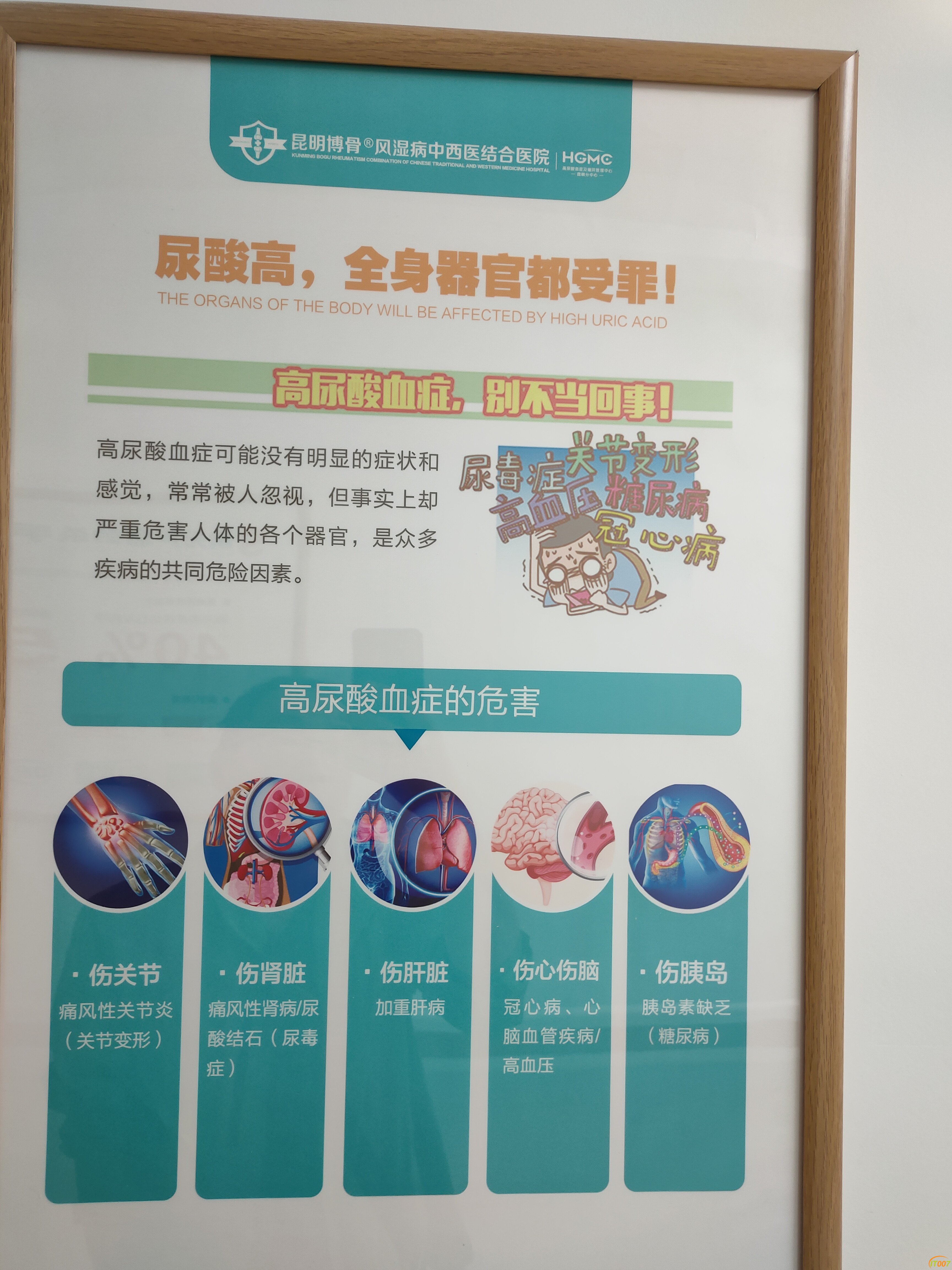 IMG20260722110656.jpg