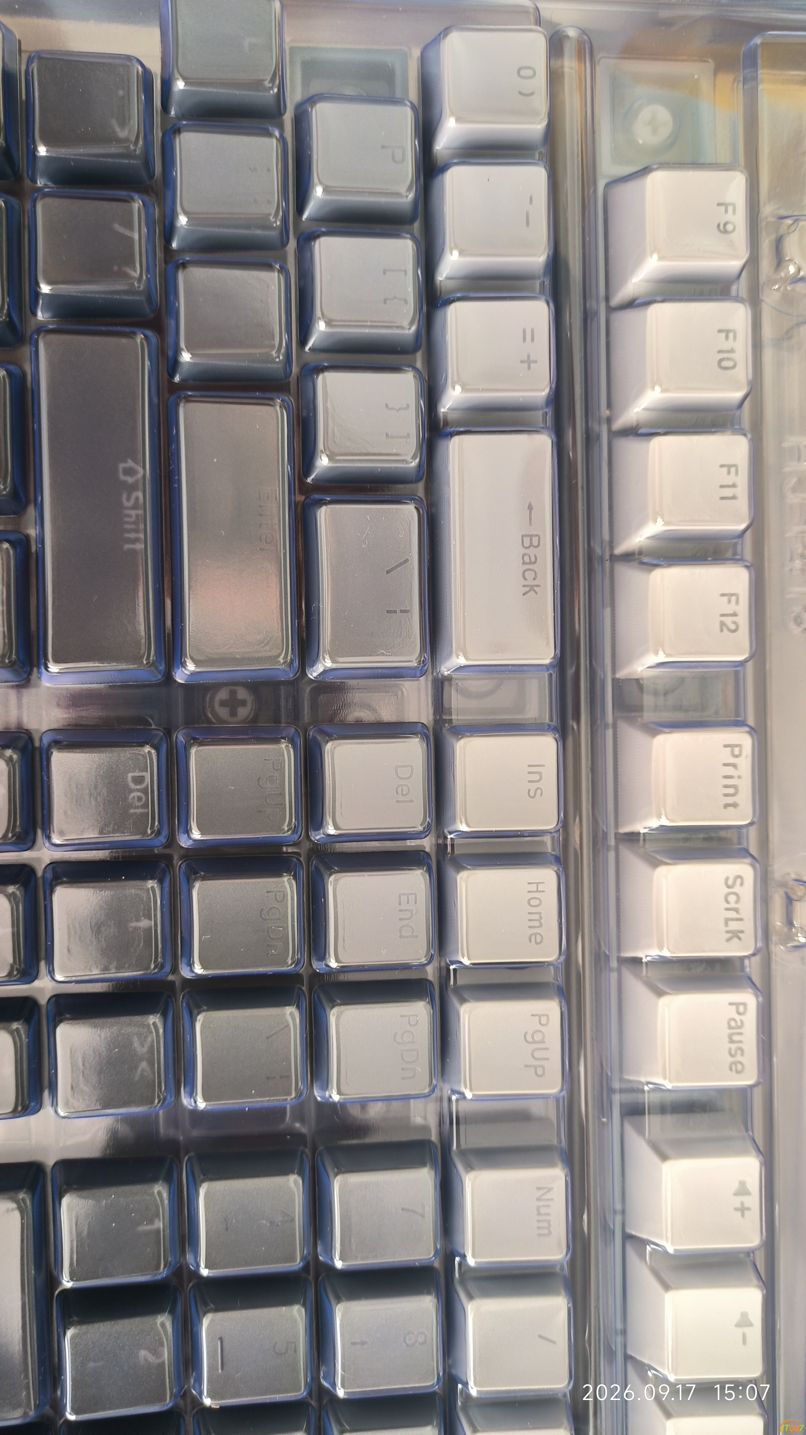 1000052416.jpg