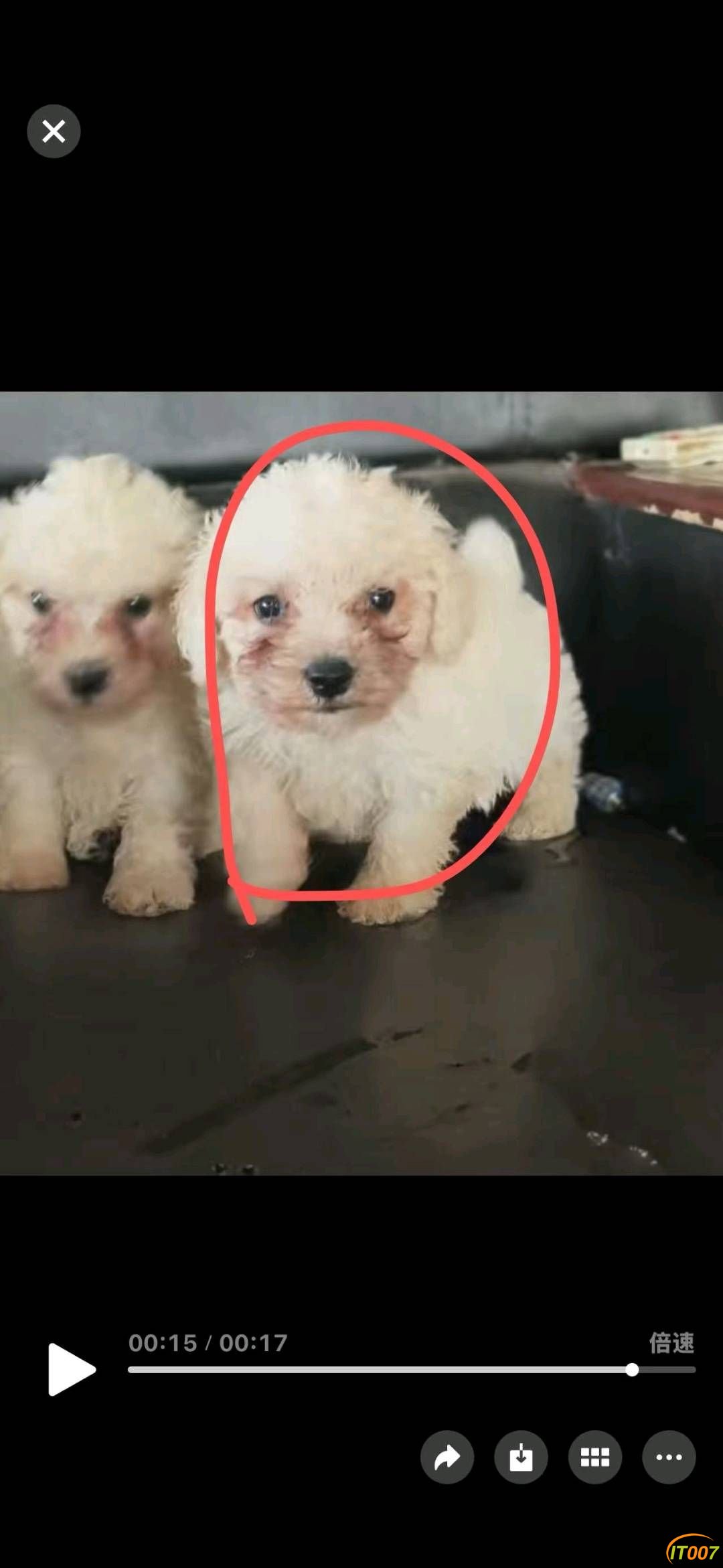 153225fren7rq0dry9ceqc.jpg