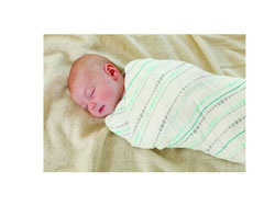 [海淘]aden+anais rayon from bamboo fiber muslin swaddle 多功能包巾 3条装$29.9