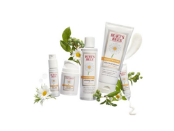 [海淘]BURT'S BEES 小蜜蜂 Brightening Daily 微光雏菊洁面乳 170g$5.31