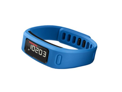 [海淘]GARMIN vivofit 智能运动手环（50米防水，1年续航，蓝色款）$49.66（约￥370）