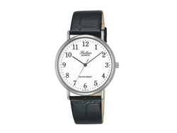 [海淘]CITIZEN 西铁城 Q&Q Falcon 猎鹰 V722-850 男款时装表1040日元