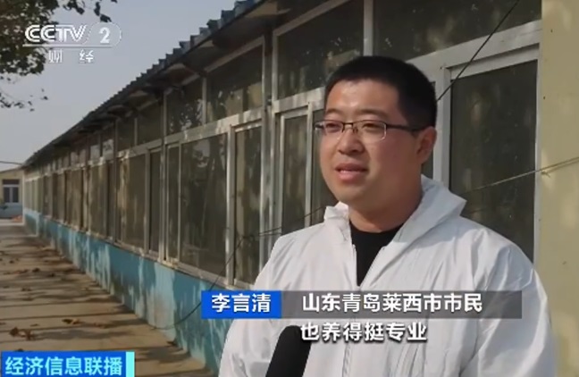 央视报道生猪代养：用户可看手机云养猪，每斤肉约20元
