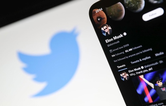 花式“薅羊毛”，马斯克将 Twitter 办公室绿植卖给员工