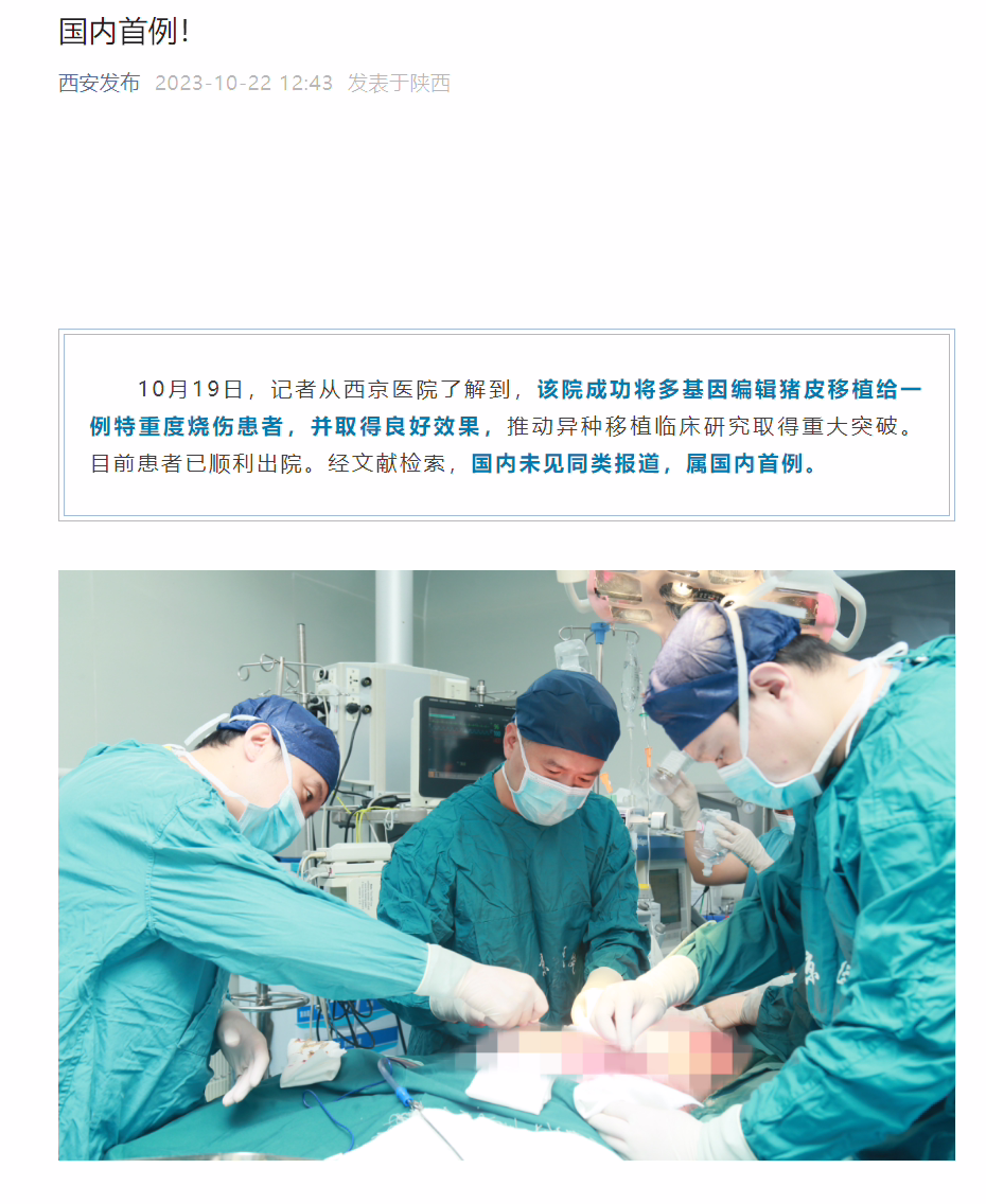 国内首例！西京医院将多基因编辑猪皮移植给重度烧伤患者