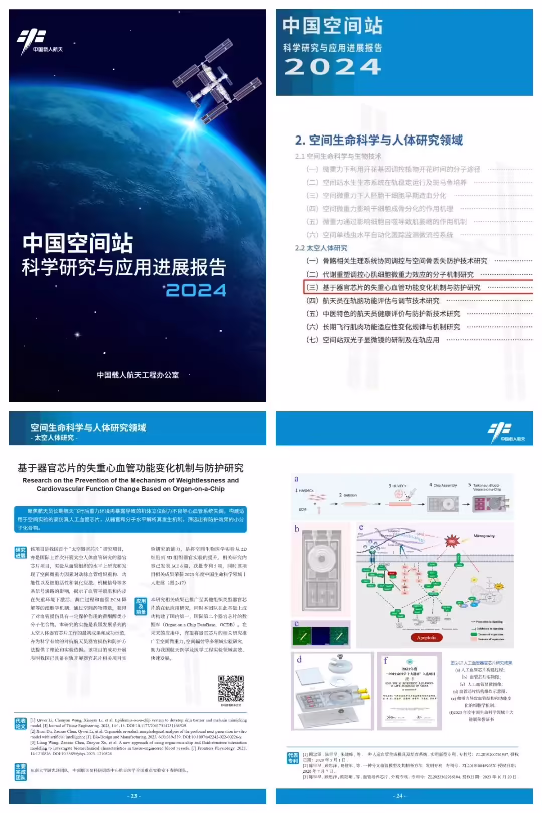 我国首个“太空器官芯片”研究项目公布，入选“太空人体研究七大进展” ...