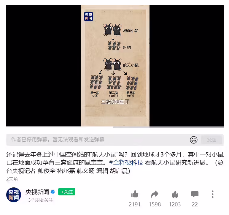 中国空间站“太空小鼠”回地球后，顺利产下第三窝鼠宝宝