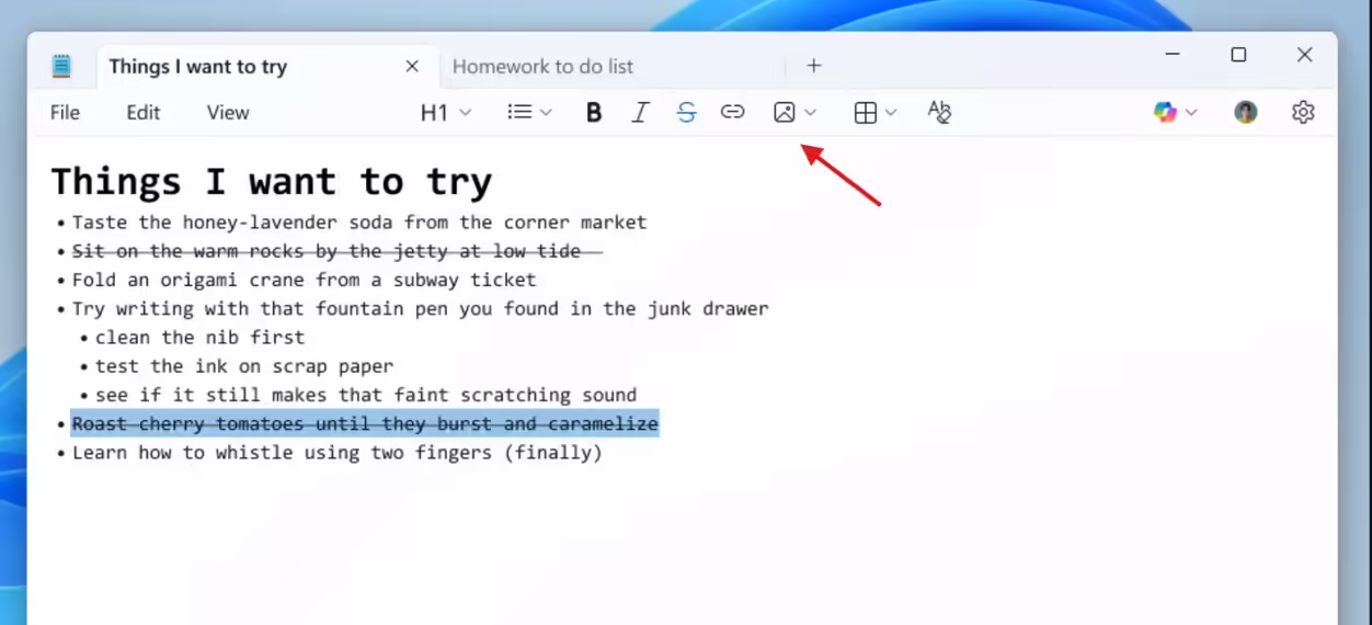 记事本 image insert